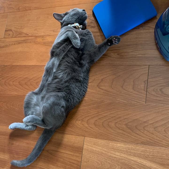 D758489c 5c1a 496a 9ee3 48aace7d521d 1653873339966