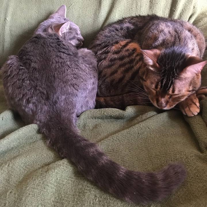 D7586967 cfec 4923 9828 77c25248062f 1514136502857