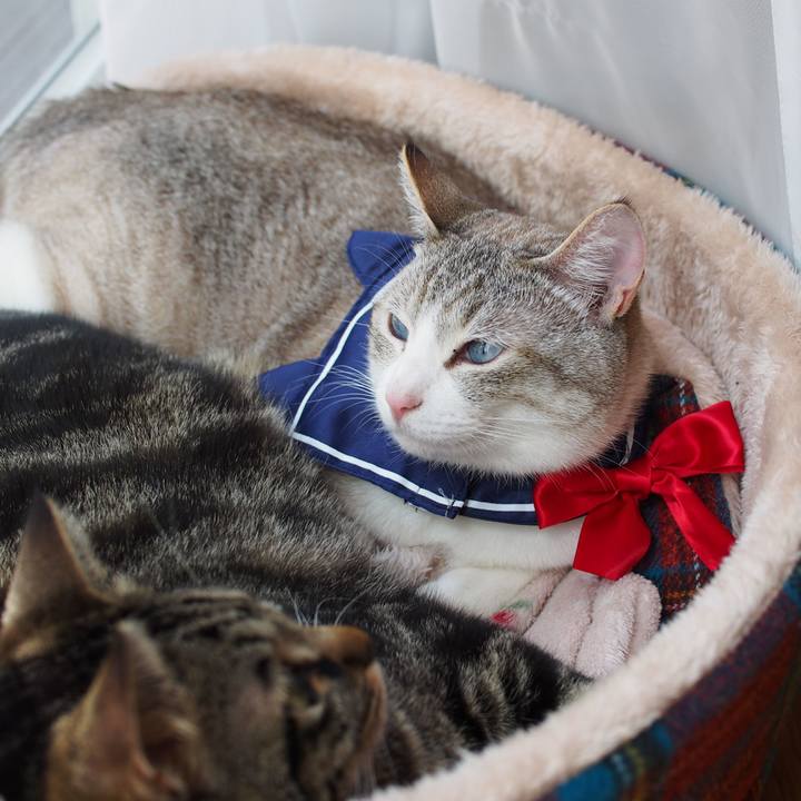 D75901c0 e04c 47bd af63 d2b252502611 1560034880978