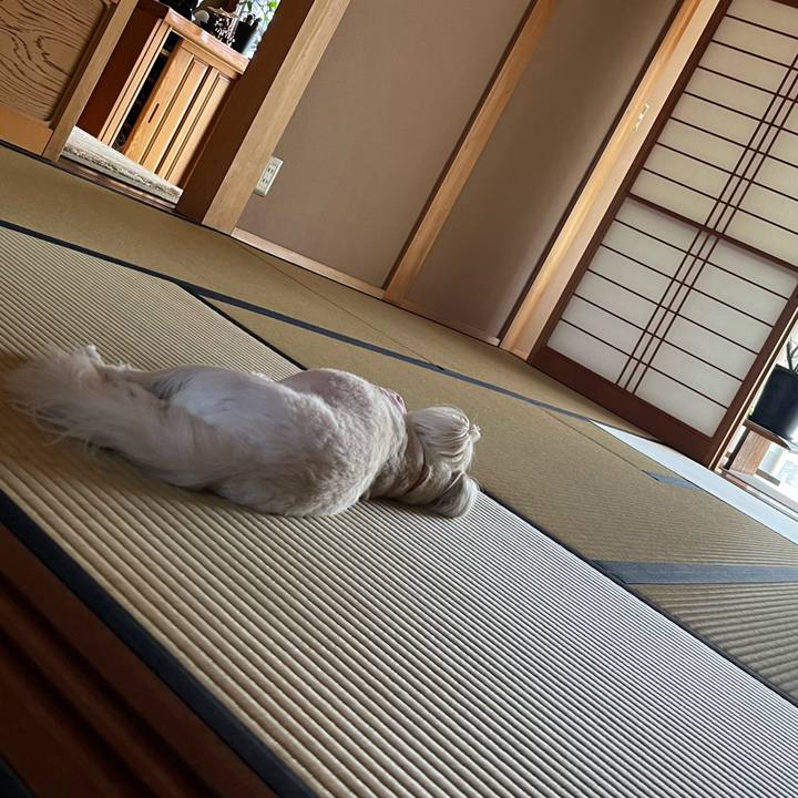 D7591e27 9c28 4519 9d54 e3ed533a8f51 1688279684192