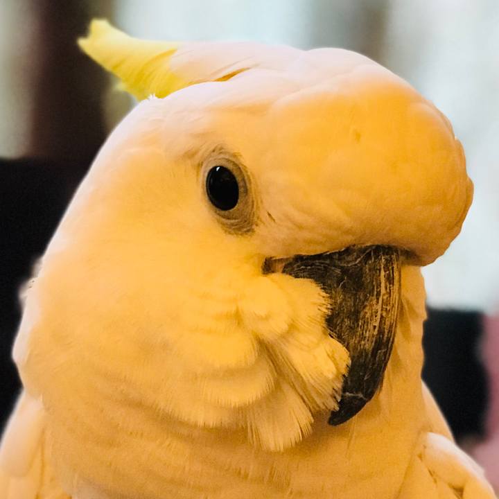 D75931da 2daf 40b0 a2bd c3de3fe015eb 1552117110169