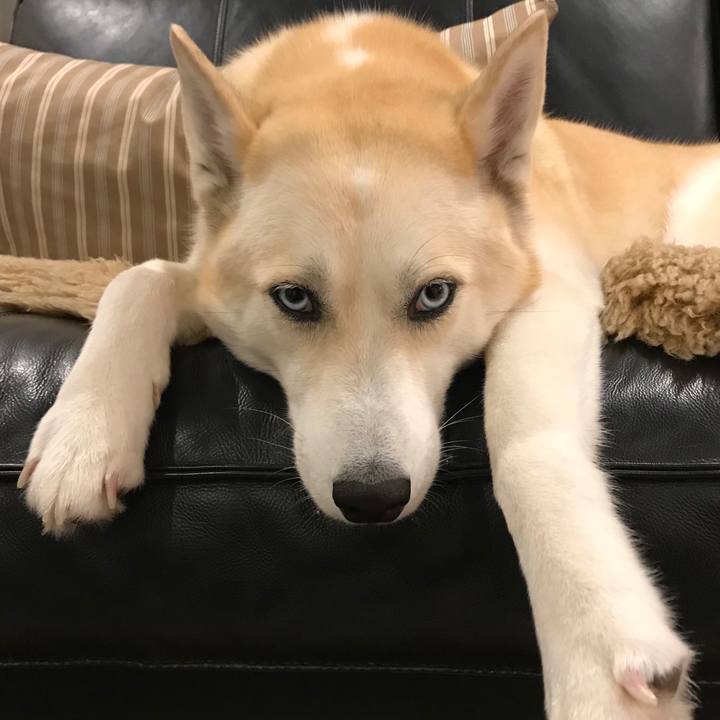 D75975a2 f5a2 4b33 bed7 2b6cd8c106ae 1543324123360