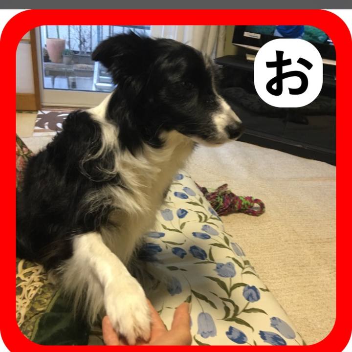 D7597f68 41ec 49ed a751 0ced57f3ff7d 1514792877085