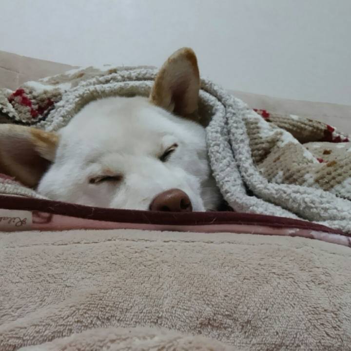 D759897c 66b9 4ff6 b811 6e260e6420f9 1517659704323