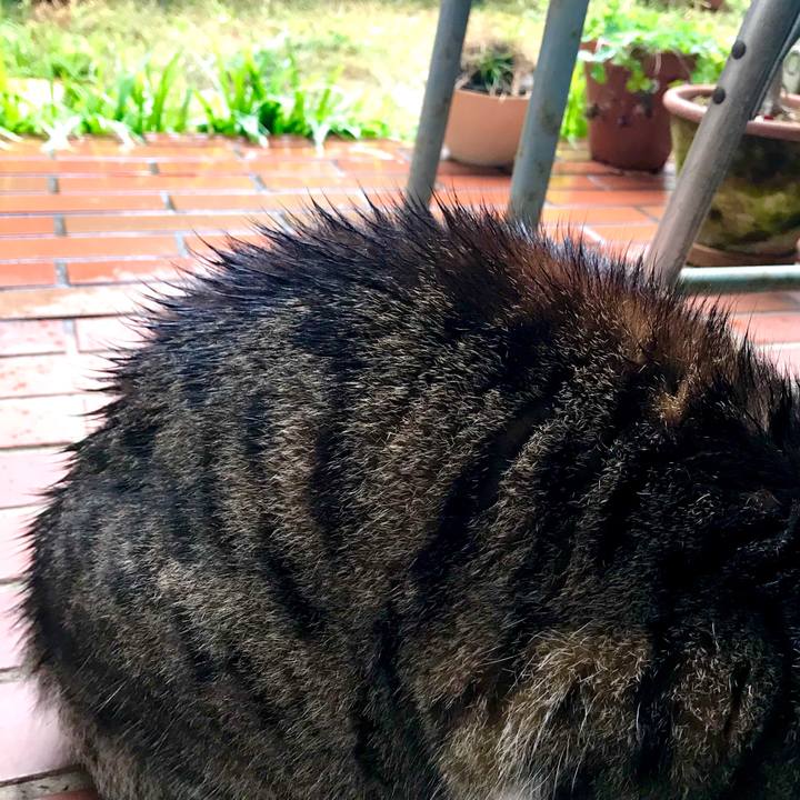 D7599929 fdf0 4b9a 8325 a4b335471e55 1580190689336