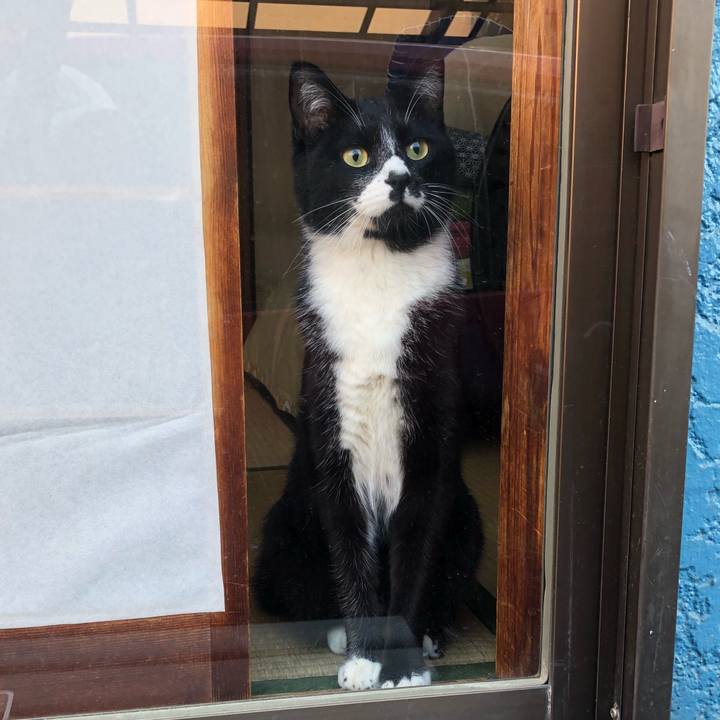 D759e3b7 5544 4f49 a935 adbfb8c37d5c 1524896864264