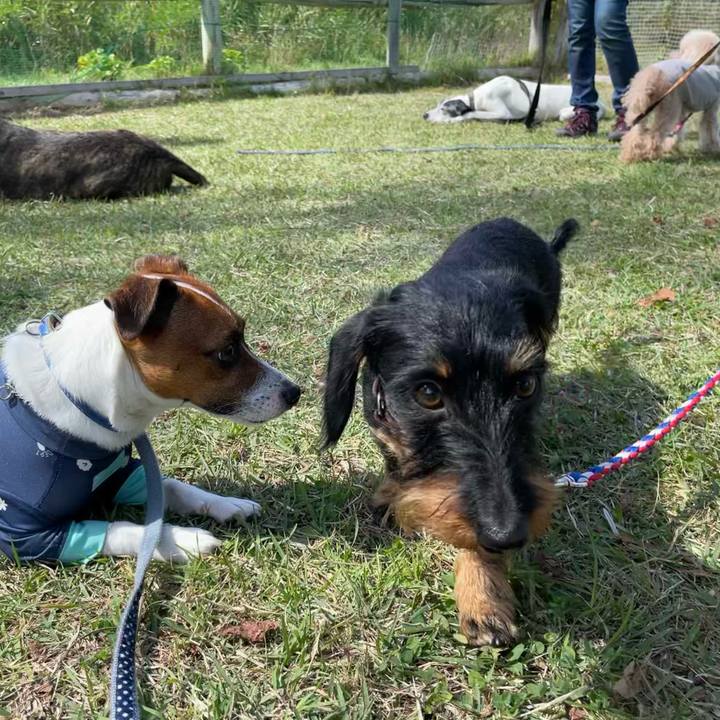 D759f02d 4fbc 4e6b b990 5784e2f0ed0a 1633409914756