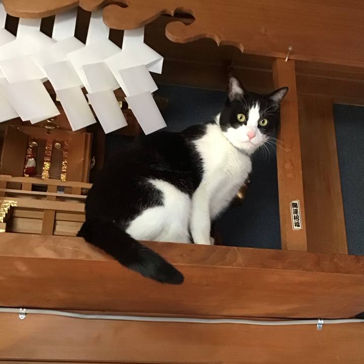 D759f9b4 cc11 4d27 af0d ae8244dbbb64 1737966901862