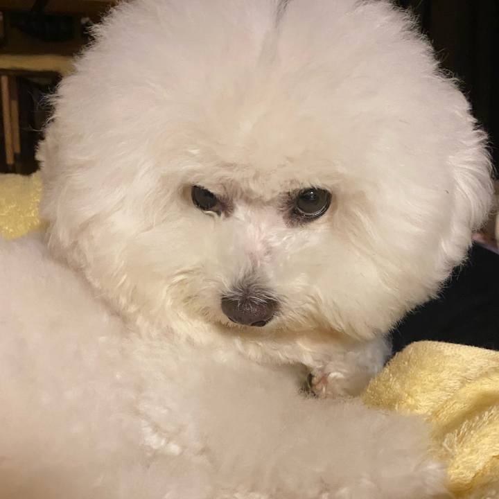 D75a00ed 52d9 4d31 a06b f6a3a0ab8035 1620309356778