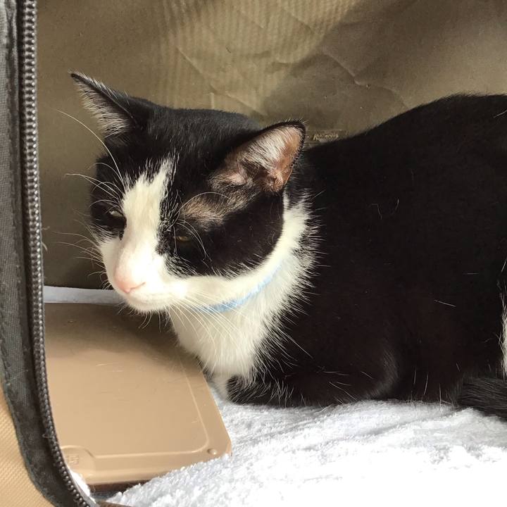 D75a0b8d e044 40d6 8114 b68b3ac2656f 1698311040168