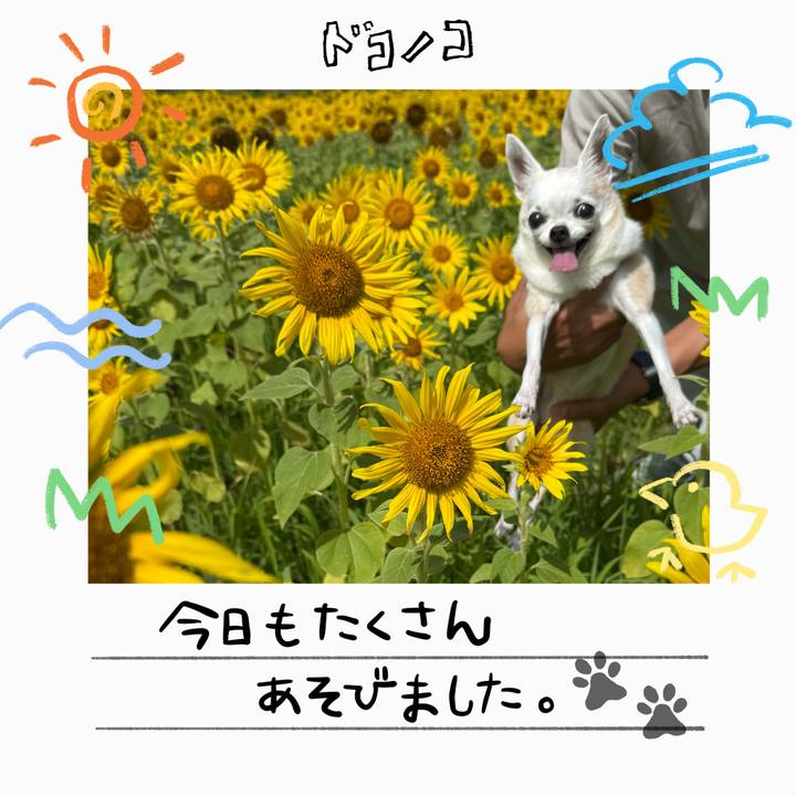 D75a31c6 32a2 4841 89b4 0d10e5747f8d 1755418825909
