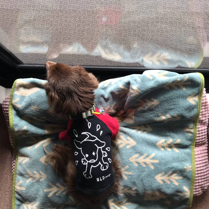 D75a5cb0 7f5f 40ee 8119 50f03c86e5f7 1581910027065