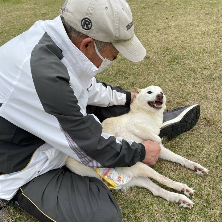 D75a6054 9c01 4b55 8b36 27967ae6acff 1679479178280