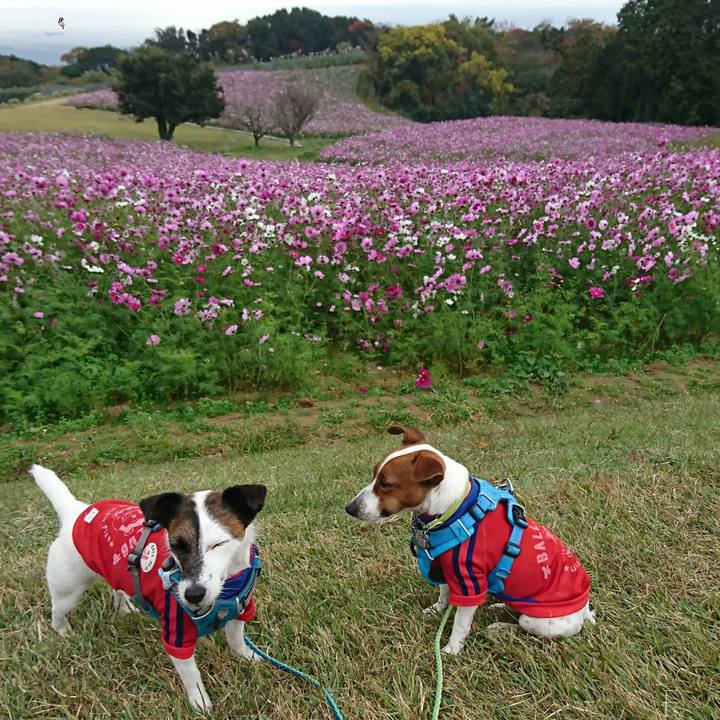 D75a73bb 4a05 4c41 b528 f0d955a6707e 1605848904632