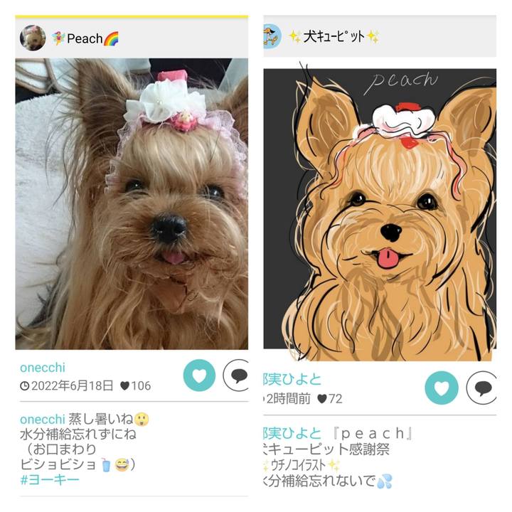 D75a8364 28d4 4f5a b15c 00c51cf1b0fe 1688606895502