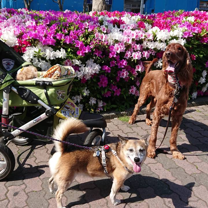 D75a9627 ddc6 4fce b1b1 f0d77d153878 1524270628792