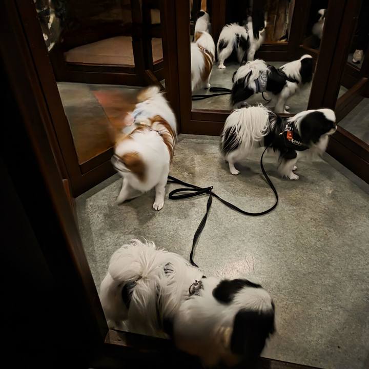 D75a9c91 97f5 4af9 80ec 09a0c4e5d3a5 1748758505715