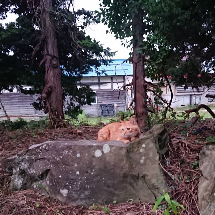 D75aa5be 1378 4c99 bec3 6939c7584136 1663015573090