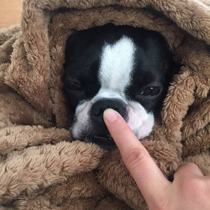 D75abcc1 6f0c 47fe b3ef 510eec303611 1515656998569