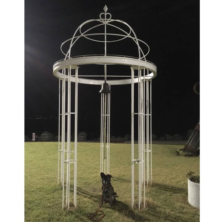 D75ada62 c120 45ed b29f 7451ded15f47 1539094742818