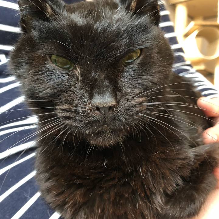 D75adf3c d863 4292 bf31 2015eb86a85a 1557868462468