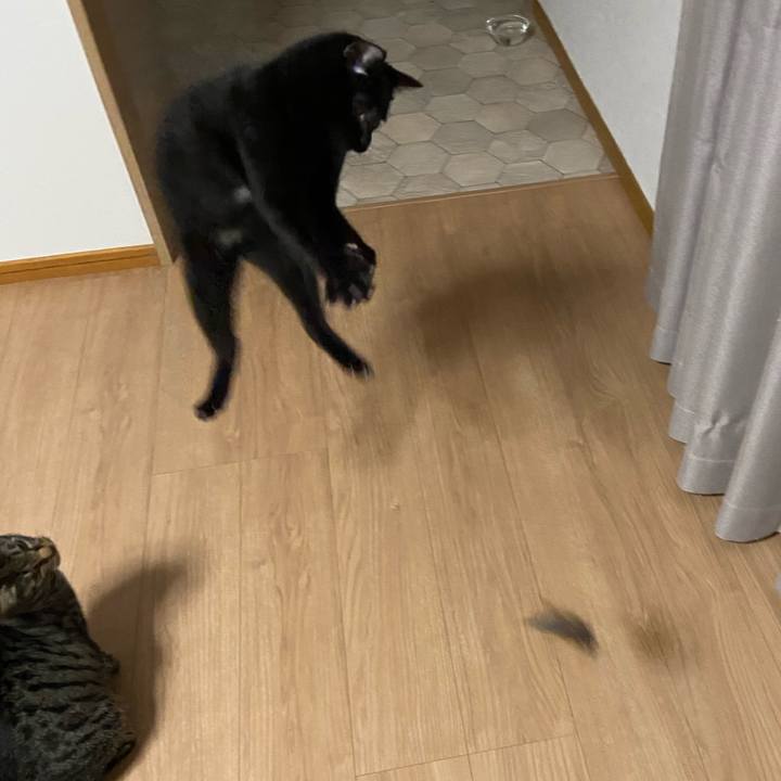 D75ae500 019b 4b5a b047 93a7aa58a29e 1620736207314