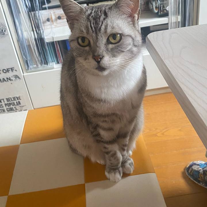 D75af11b 7434 4be3 8bad 445a815bd9d0 1716415267785