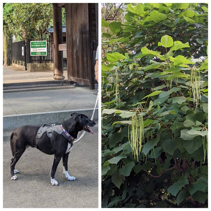 D75b1003 cc15 4061 be2d 4fb01426d415 1659227173345