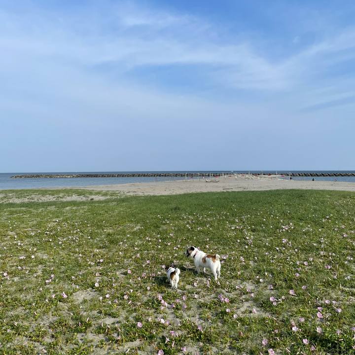 D75b188a bcb4 4408 a646 58e1d193b290 1622677484221