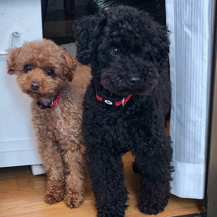 D75b3031 8dca 4bbf 9714 f3f43a2397ad 1557541456738