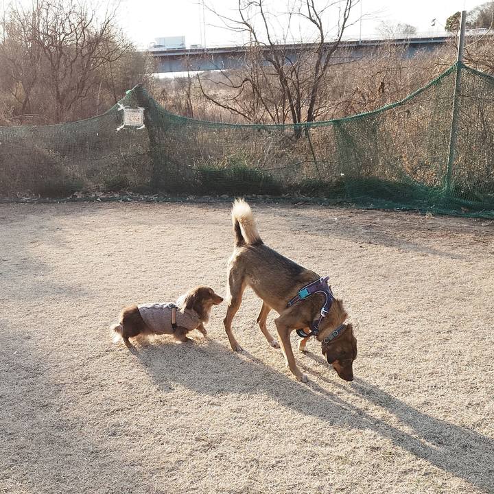 D75b3947 dab1 4db6 8886 899974e807ee 1768698897974