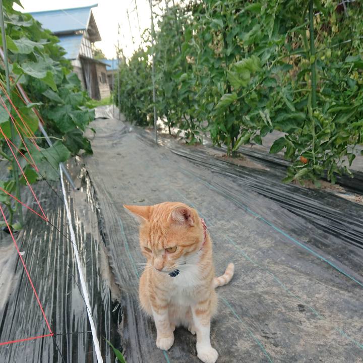 D75b40a2 6e4e 4342 b906 fe437771fa41 1562665586882