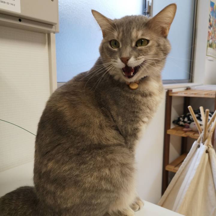 D75b45d3 4884 4c87 b6c6 f44ec85c20a4 1575447441364