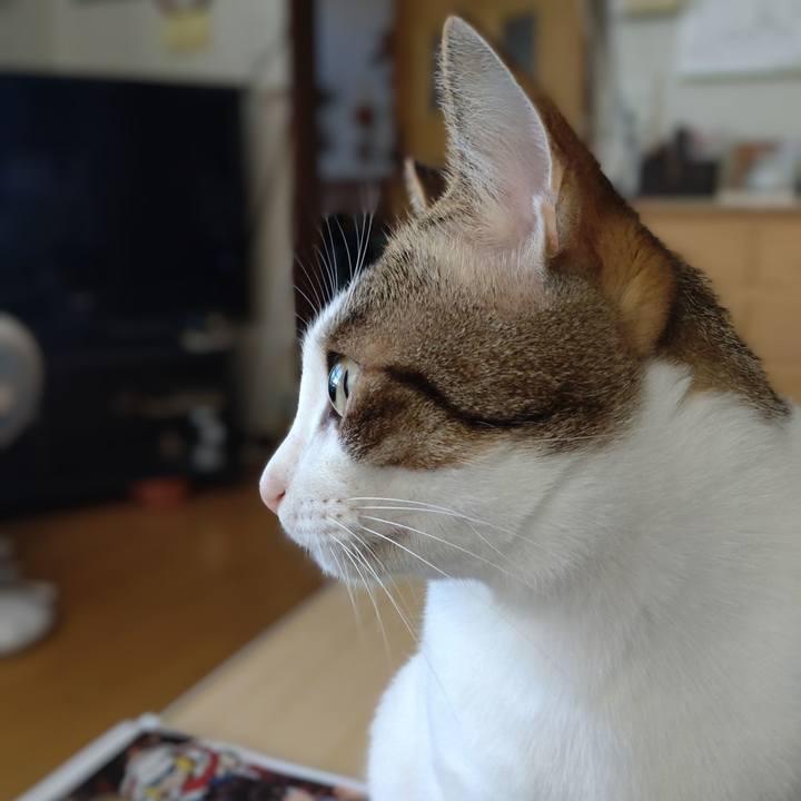 D75be520 32dd 4af9 89d7 22f859fad628 1726615147084