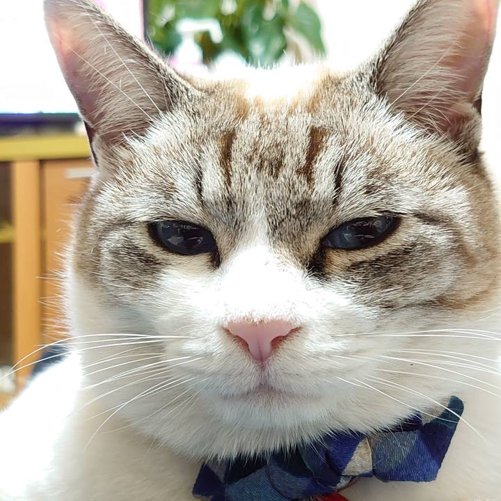 D75beba7 0a77 4408 b41f 3c55c5f37ba8 1614507527815