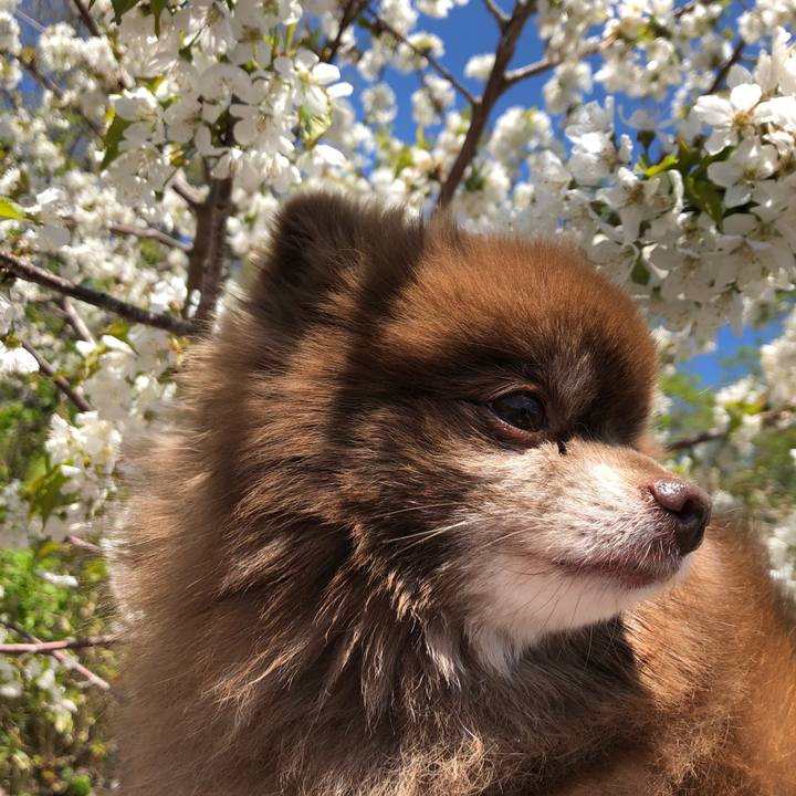 D75bec89 f05c 40c5 9be3 7be83f35322b 1589431697180