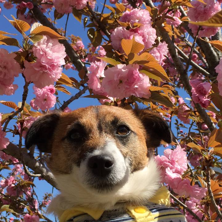 D75c17c7 b1d0 442e a2de 810ff353f0f1 1523151762271