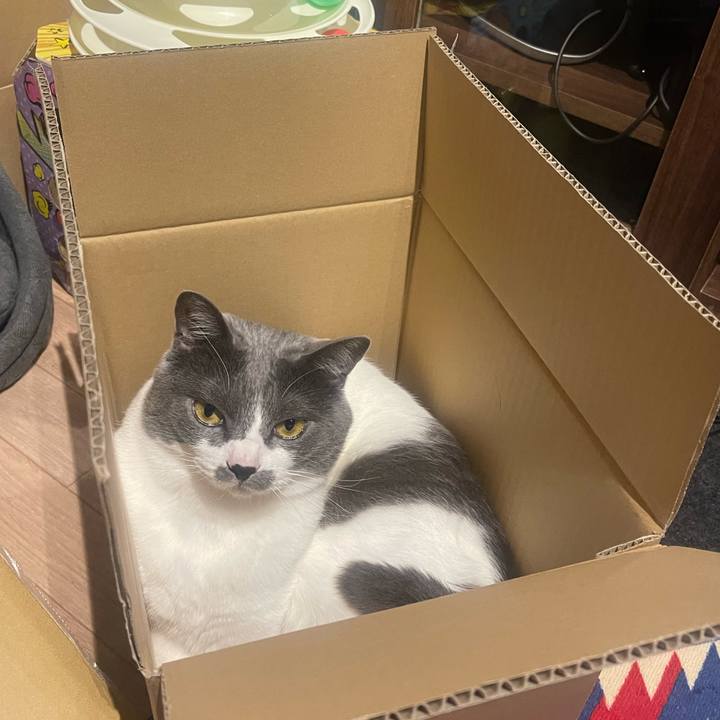 D75c3eb8 cf52 4078 8a1f fd8b8aee4537 1652698987082