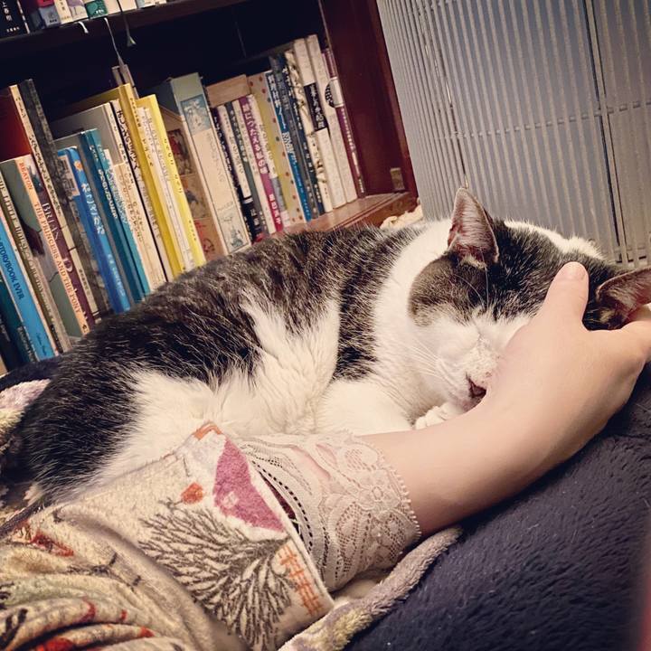 D75c4673 7748 47d8 be6c 9eda8162bdd7 1578666182020