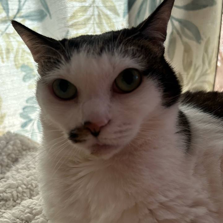 D75c9f83 6ad1 436f 85a6 c51b72da37eb 1775352534015