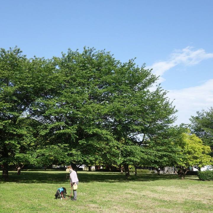 D75d0d70 19be 49a0 a19b 18ba0d6071af 1619829566358