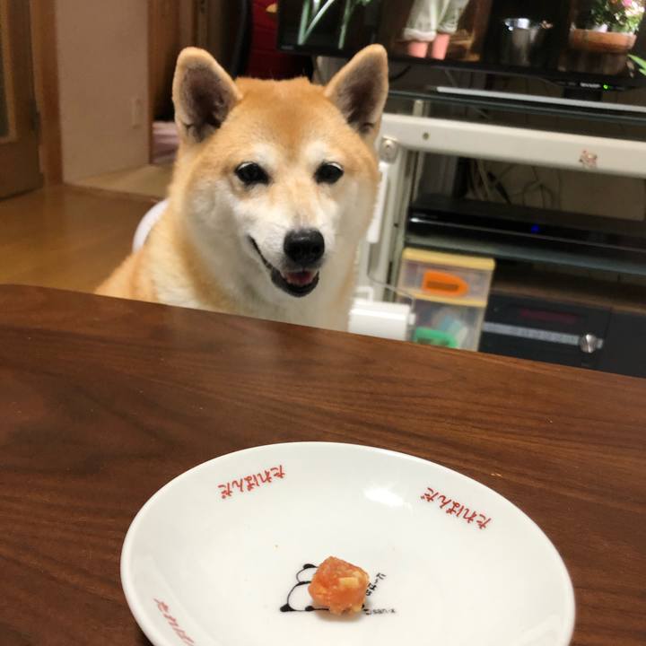 D75d1968 760b 4ef2 ba6f 71a073f178fe 1571065427742