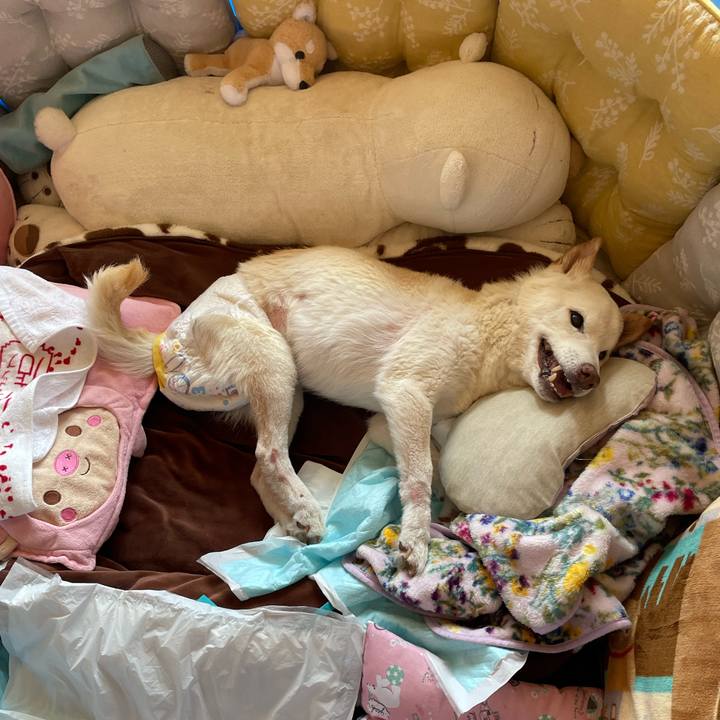 D75d2b44 ee1b 44a5 ae08 8f0b32f289dd 1679314090310