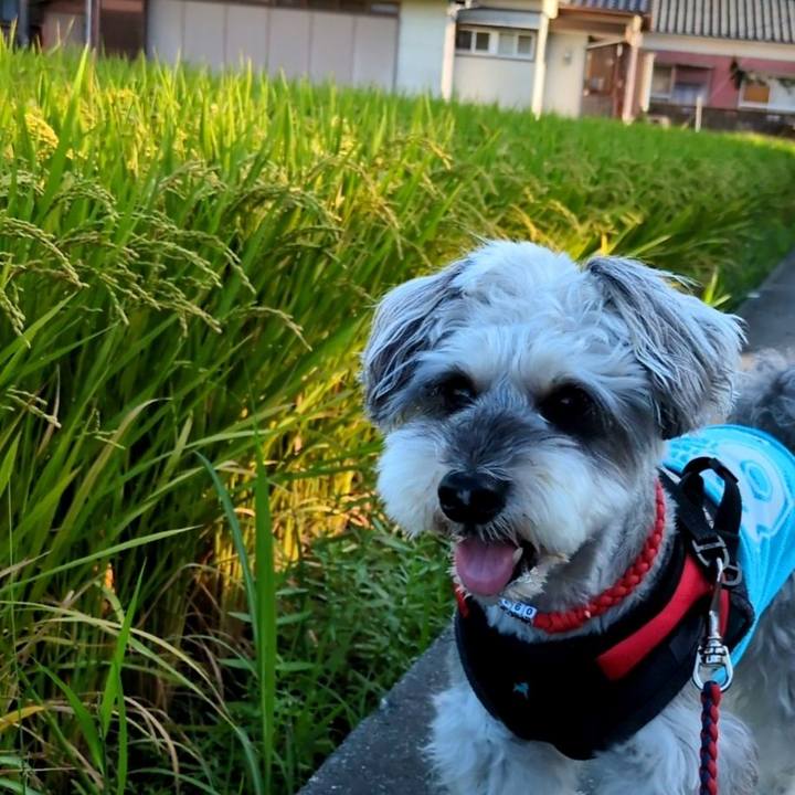 D75d3d8f fa44 4442 91e9 989e72157c06 1757214052803