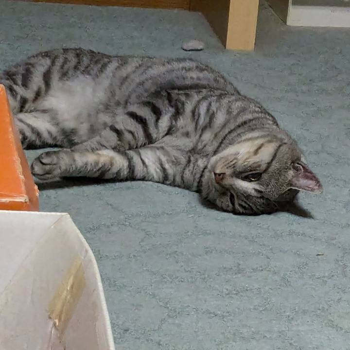 D75d3ebc 784e 4a6e bb2d af41aab3ef73 1724674408282