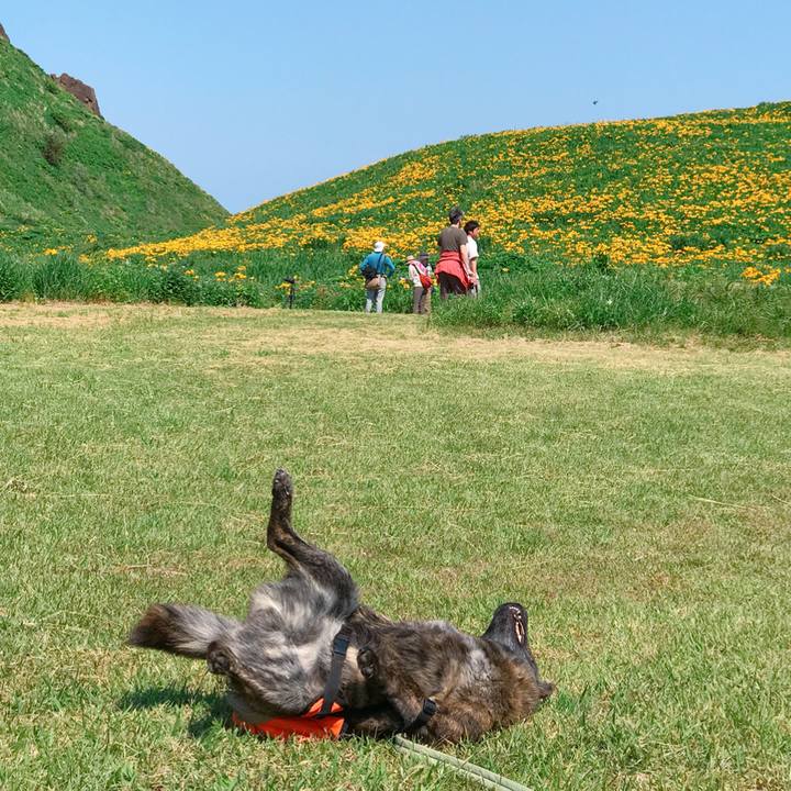 D75d6ad3 d811 4790 826a 1df6a49d1a6b 1528005906251