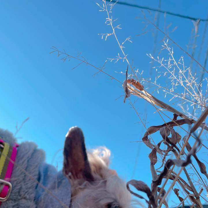 D75d8b2e d7a2 45b5 83a3 a39a8d9b200f 1766799288535