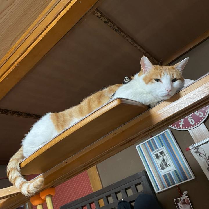 D75d97e1 f4b8 4c5c bba0 8c12104313d9 1702071541323