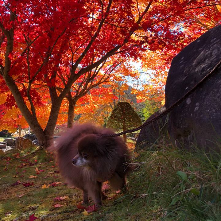 D75d9fb1 075b 4f88 8eb1 83dacd5c2030 1635571989067