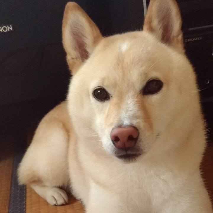 D75da11e ffba 453e 8fa4 78d8418f2b3d 1593776178928